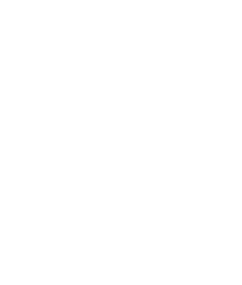 Silver Wolf Stays